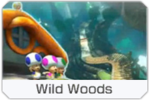 Wild Woods